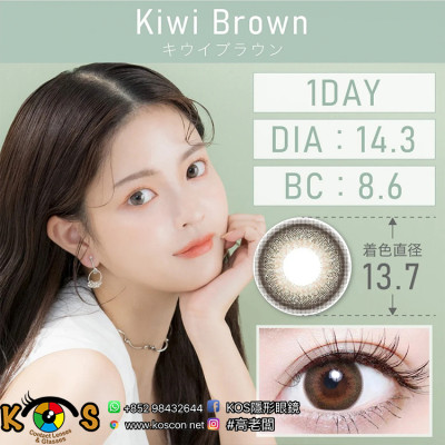 TeAmo 1Day Kiwi Brown ティアモ ワンデー キウイブラウン TeAmo 1Day Kiwi Brown ティアモ ワンデー キウイブラウン